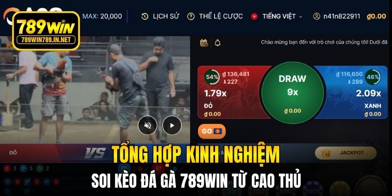 Tổng hợp kinh nghiệm soi kèo đá gà 789WIN từ cao thủ